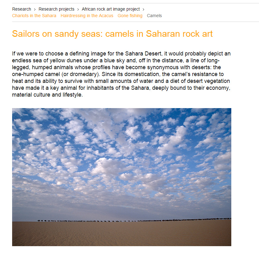 "Sailors on Sandy Seas" article showing what we can learn about camels, their  history and role in the Sahara.